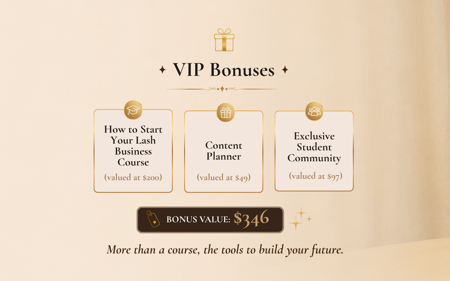 VIP PACKAGE